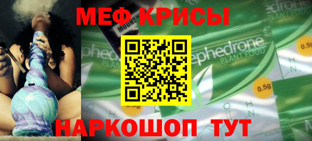 Рубцовск  МЕФ  Вход с VPN  МЯУ-МЯУ мяу мяу 