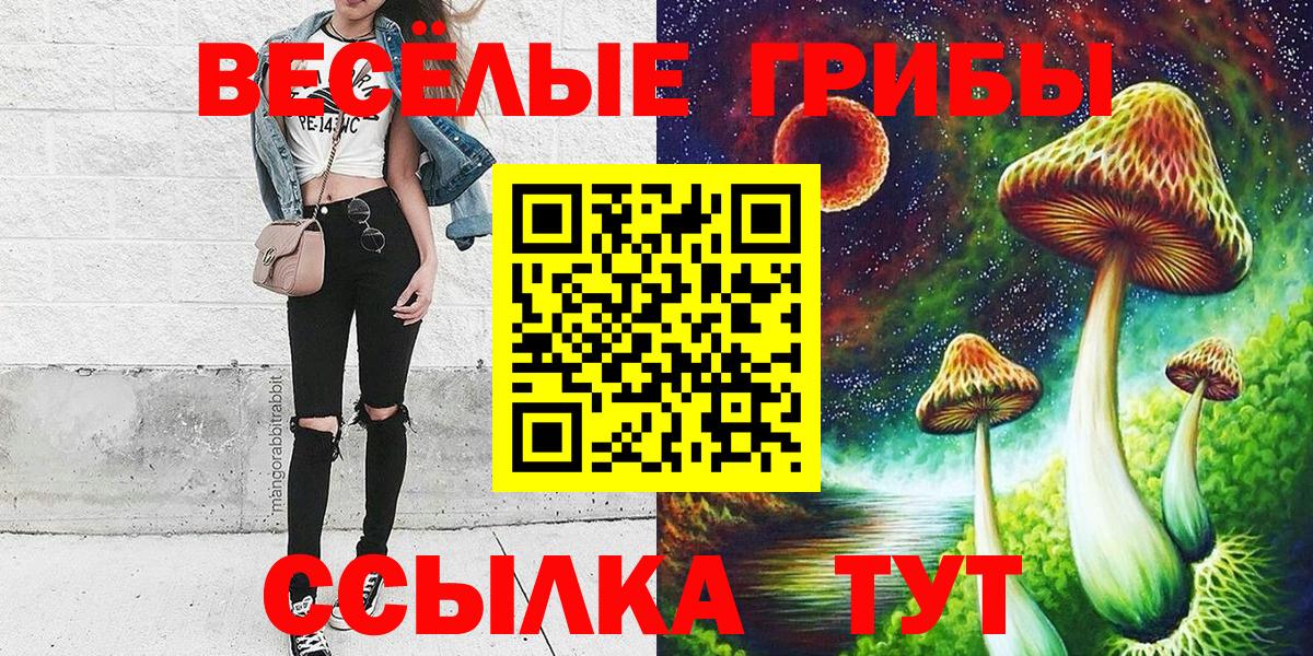 Рубцовск  Псилоцибиновые грибы Magic Shrooms  Вход с VPN 